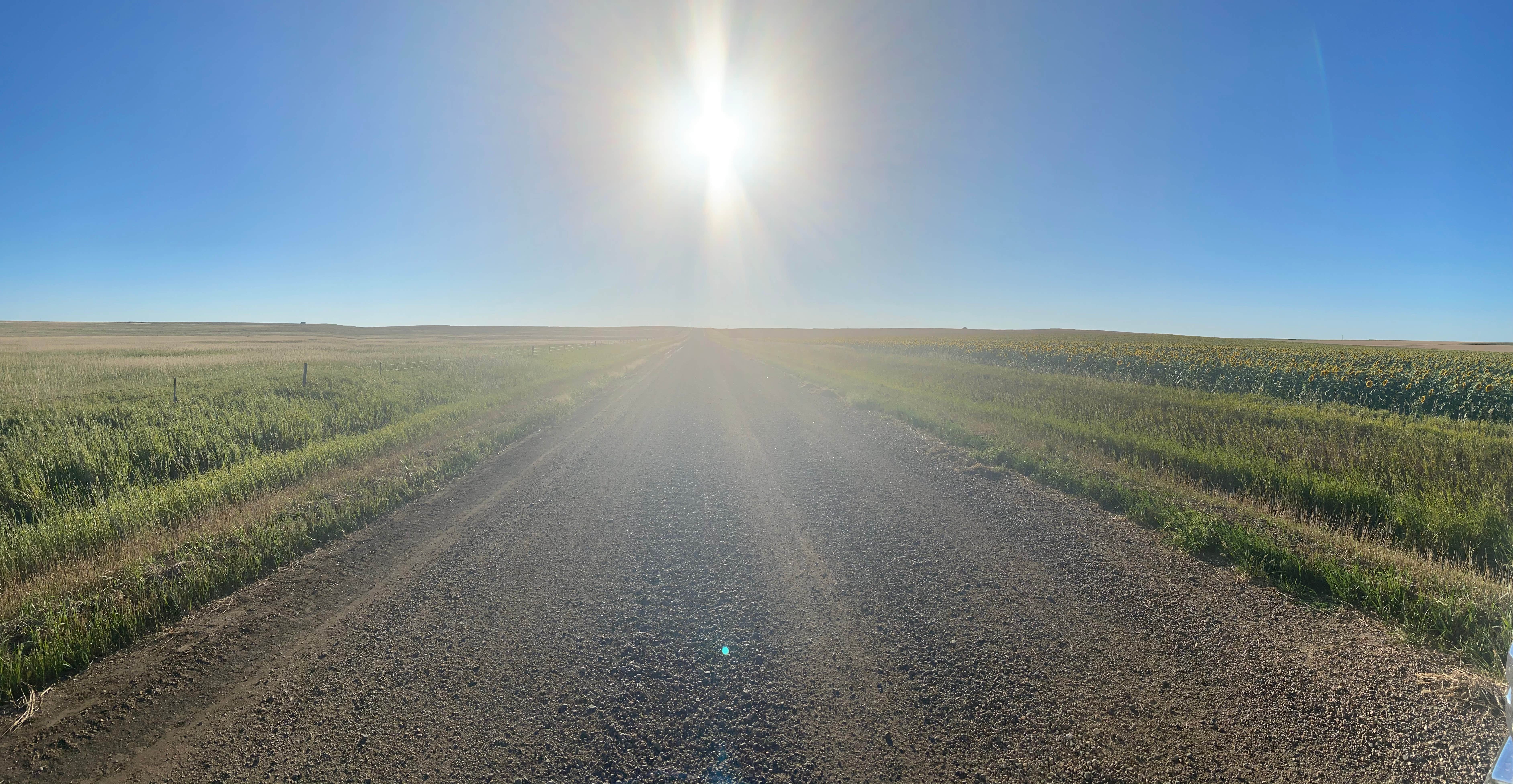 Camper submitted image from Fort Pierre National Grassland Dispersed Camping - 5