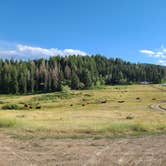 Review photo of Hobble Right Fork Dispersed by Whitney W., August 17, 2020