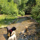 Review photo of Hobble Right Fork Dispersed by Whitney W., August 17, 2020