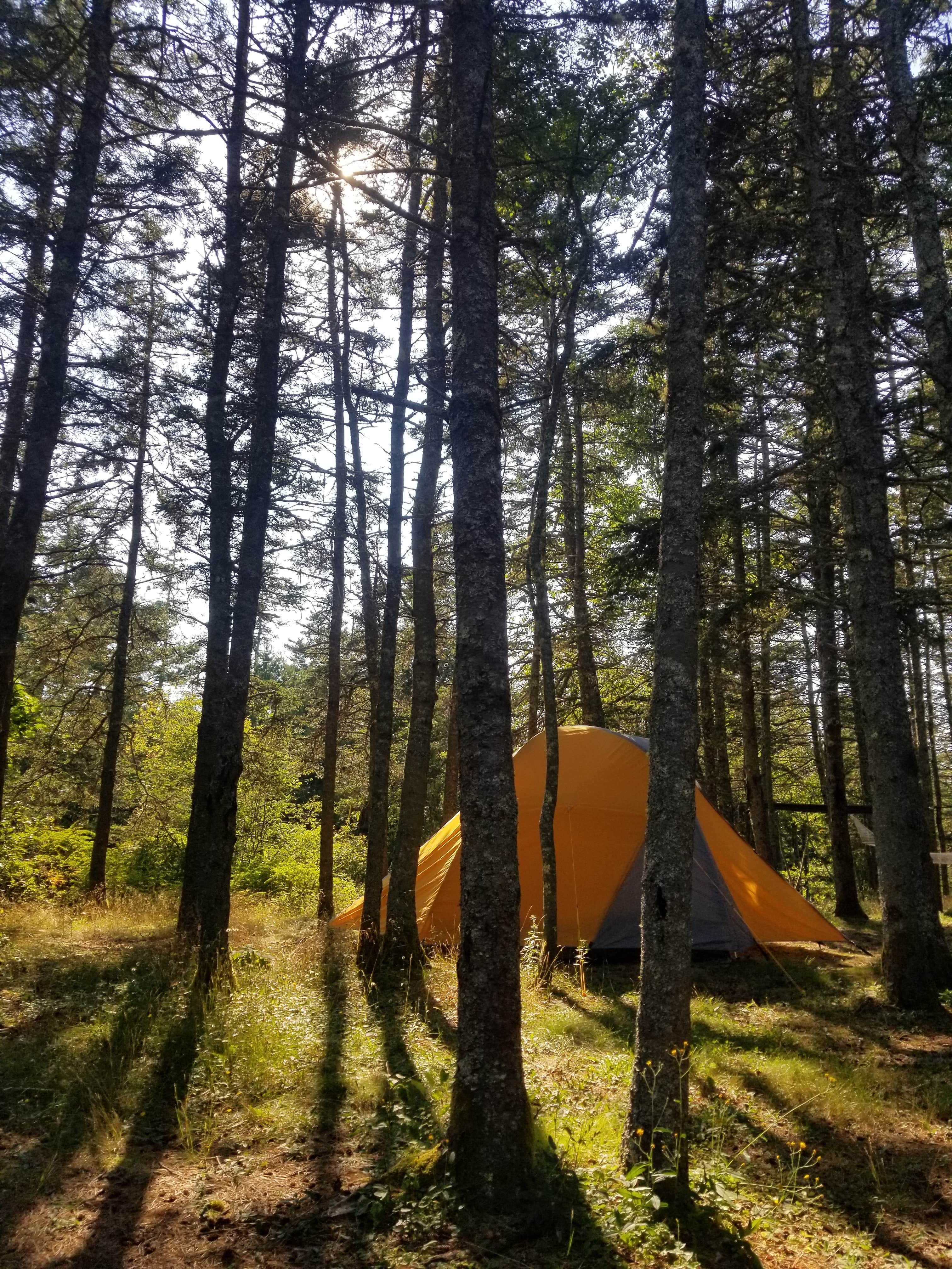 Geneva H.'s photo at Bass Harbor Campground near Stonington, ME