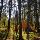 Review photo of Bass Harbor Campground by Geneva H., August 17, 2020