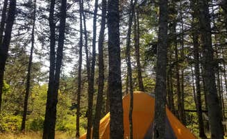 Geneva H.'s photo at Bass Harbor Campground in Maine