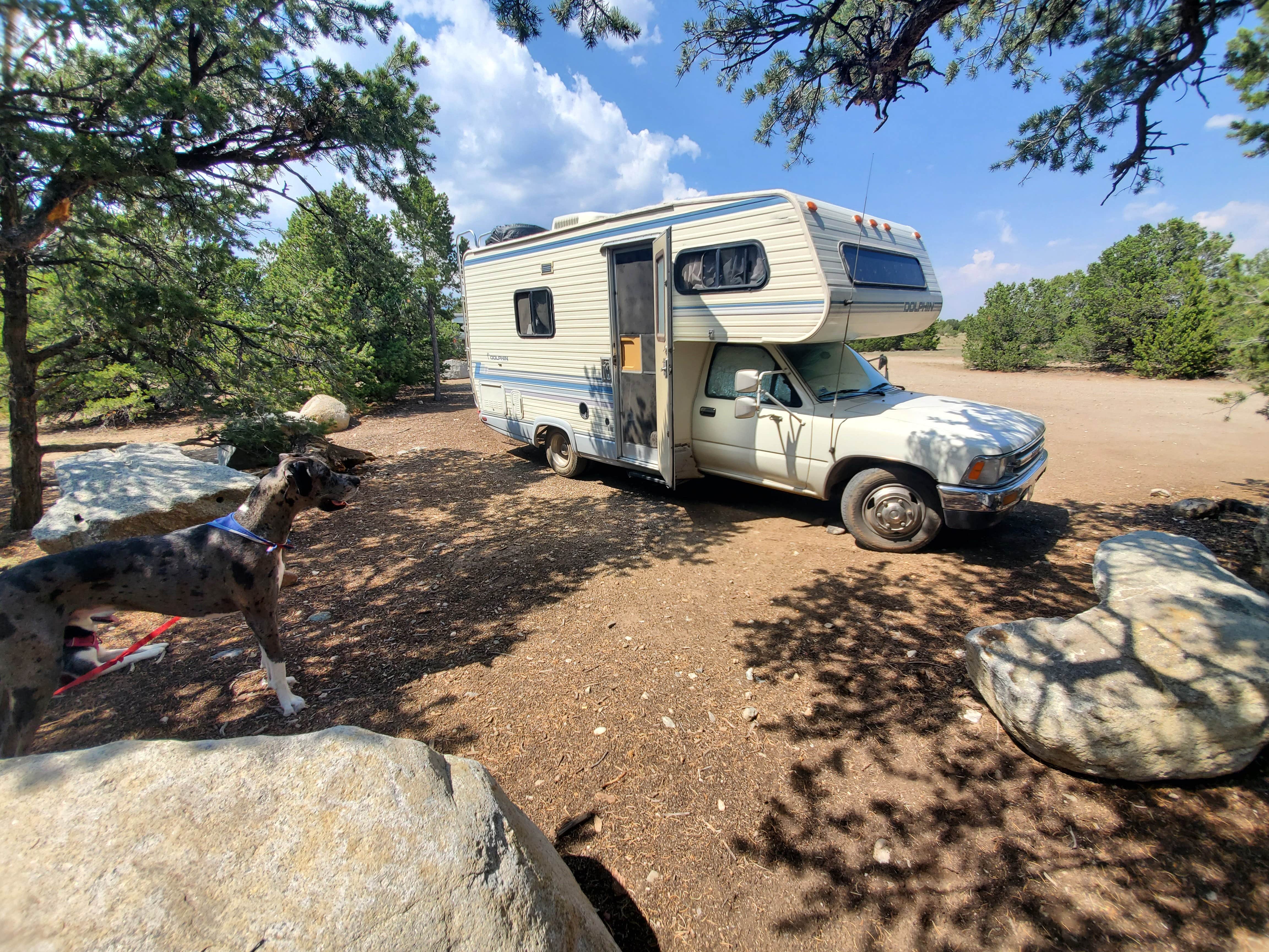 Katie H.'s photo of camping with pets at Browns Canyon Dispersed near Howard, CO