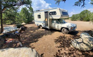 Katie H.'s photo of camping with pets at Browns Canyon Dispersed near Howard, CO