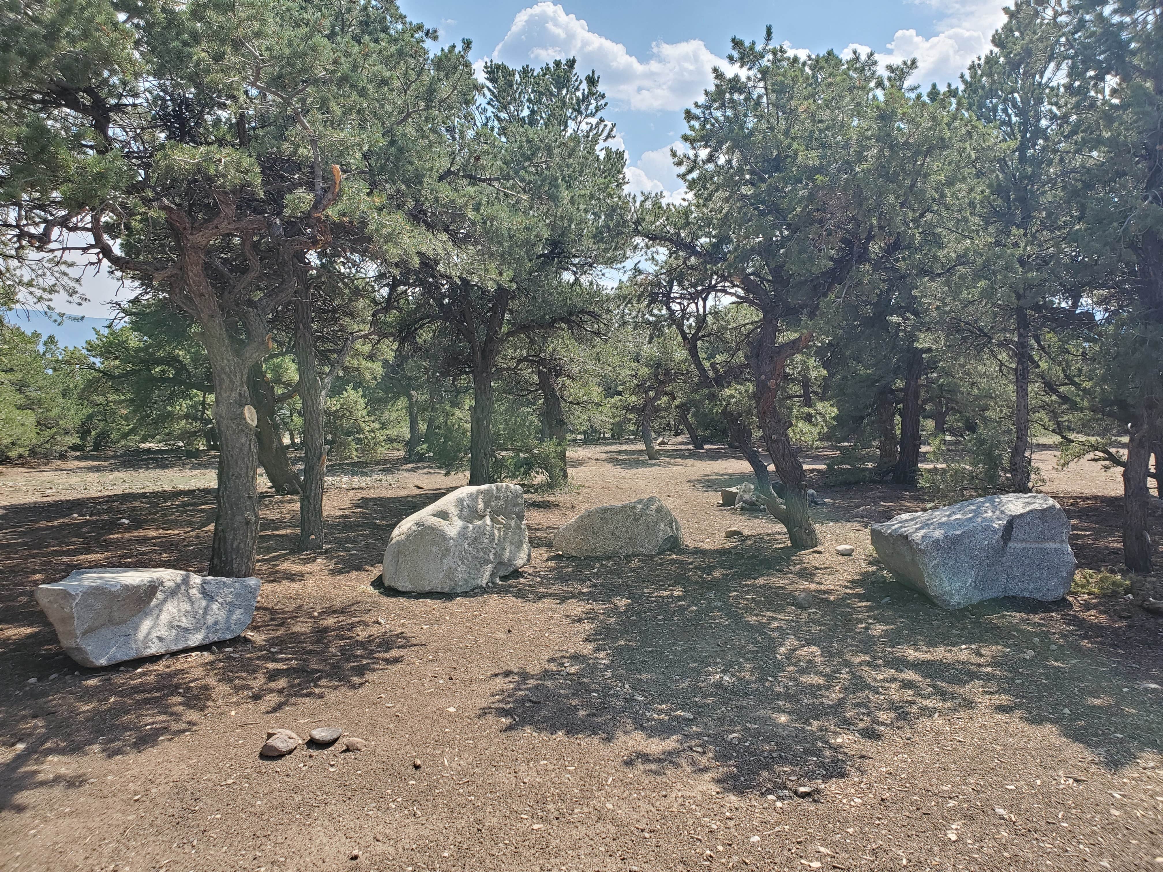 Camper-submitted photo at Browns Canyon Dispersed near Howard, CO