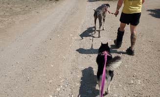 Katie H.'s photo of camping with pets at Shavano BLM Designated Camping Area near Howard, CO