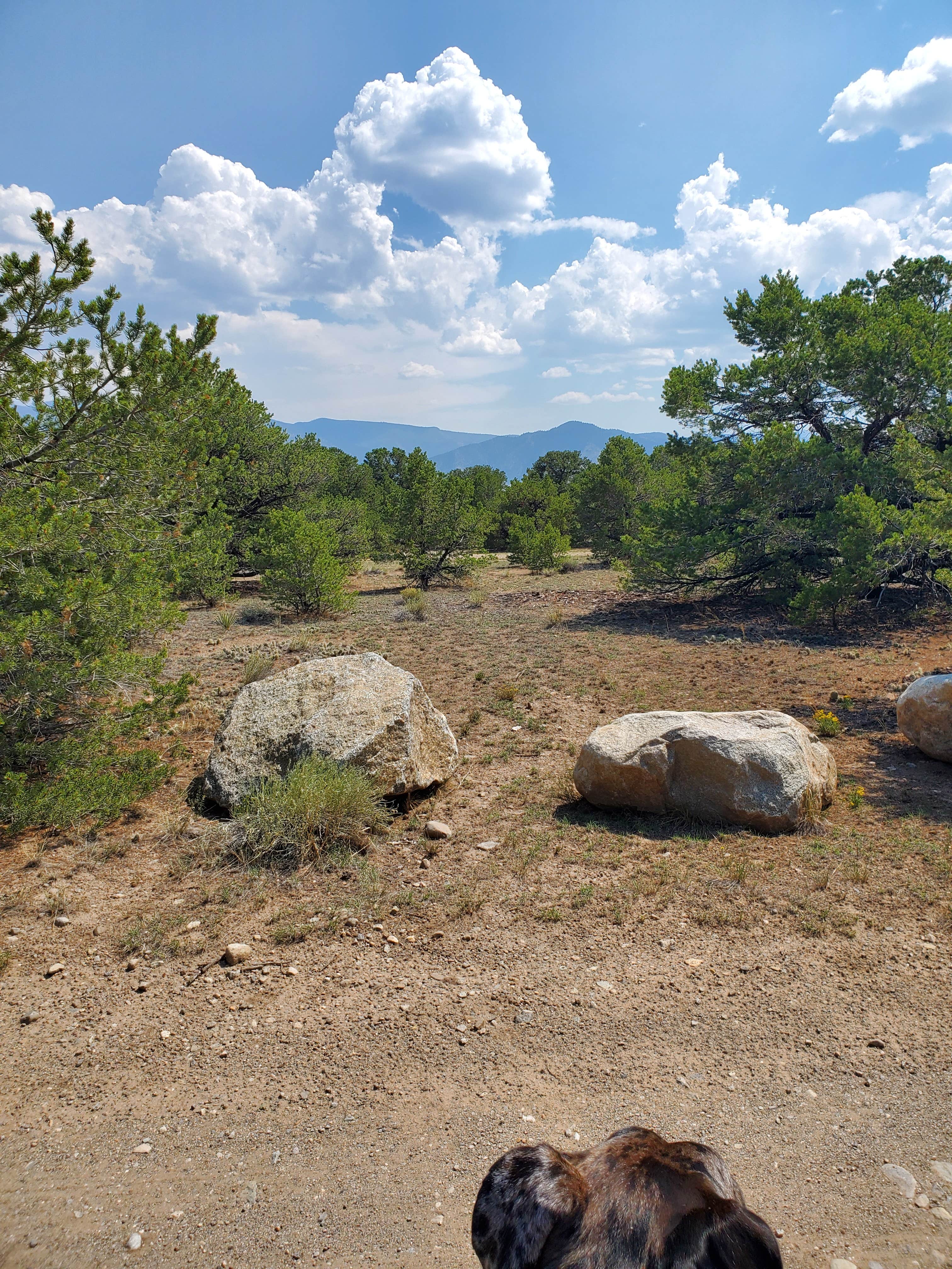 Camper-submitted photo at Browns Canyon Dispersed near Howard, CO