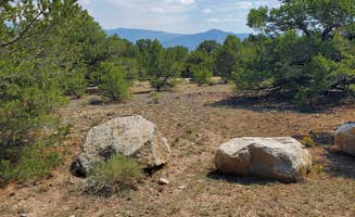 Katie H.'s photo of camping with pets at Shavano BLM Designated Camping Area near Howard, CO