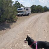 Review photo of Browns Canyon Dispersed by Katie H., August 17, 2020