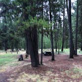 Review photo of Cow Meadow Campground by Alex P., August 17, 2020