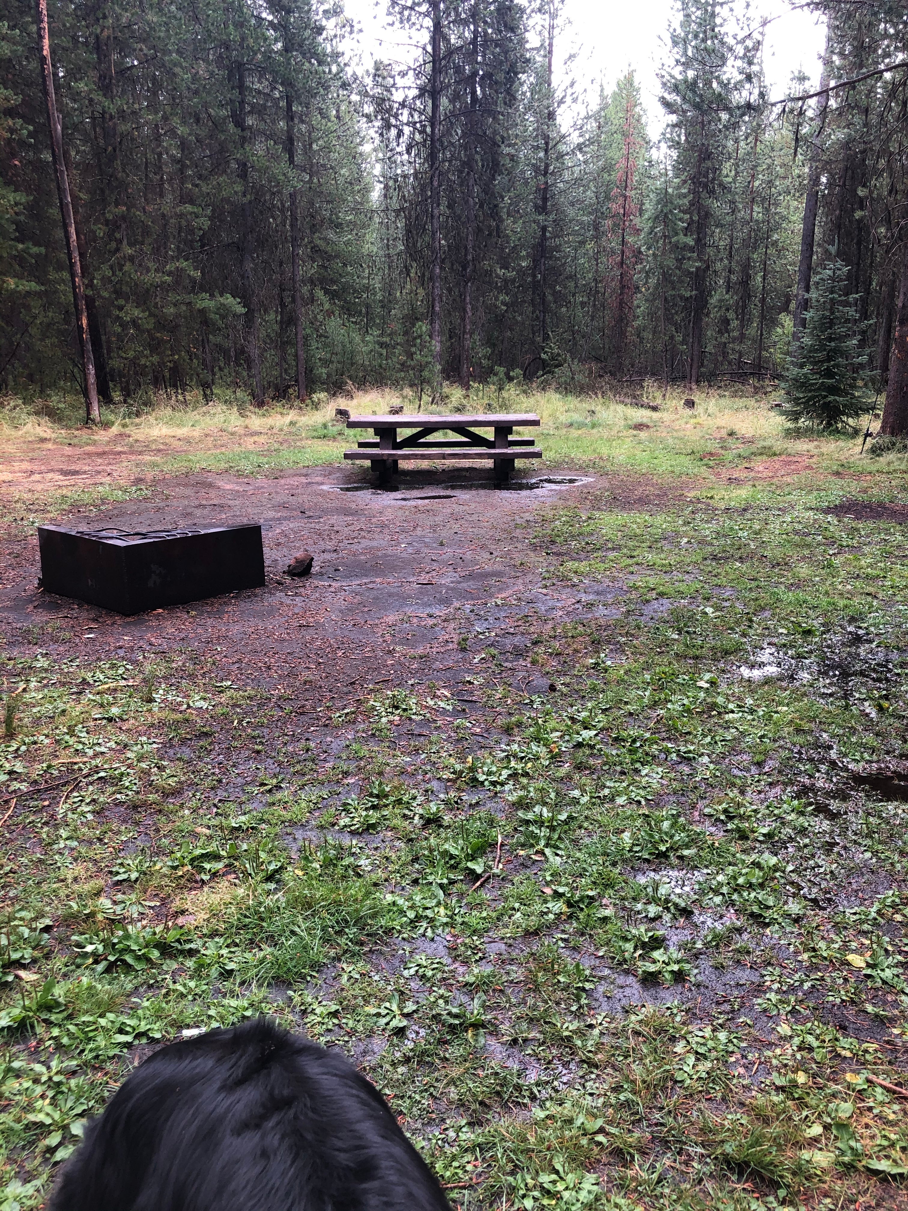 Camper submitted image from Cow Meadow Campground - 4