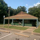 Review photo of Brazos Bend State Park Campground by Richard G., August 17, 2020