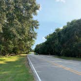 Review photo of Brazos Bend State Park Campground by Richard G., August 17, 2020