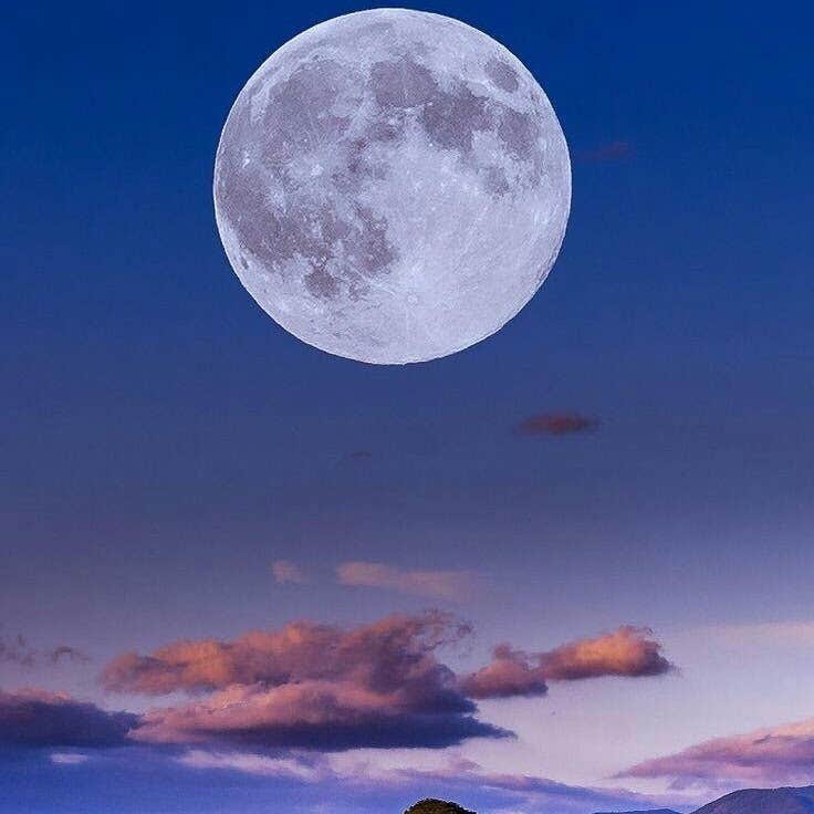 View All