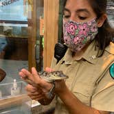 Review photo of Brazos Bend State Park Campground by Richard G., August 17, 2020