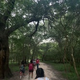 Review photo of Brazos Bend State Park Campground by Richard G., August 17, 2020