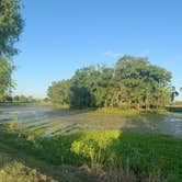 Review photo of Brazos Bend State Park Campground by Richard G., August 17, 2020