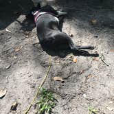 Review photo of Kathryn Abbey Hanna Park by Stacey S., April 30, 2018