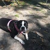 Review photo of Kathryn Abbey Hanna Park by Stacey S., April 30, 2018