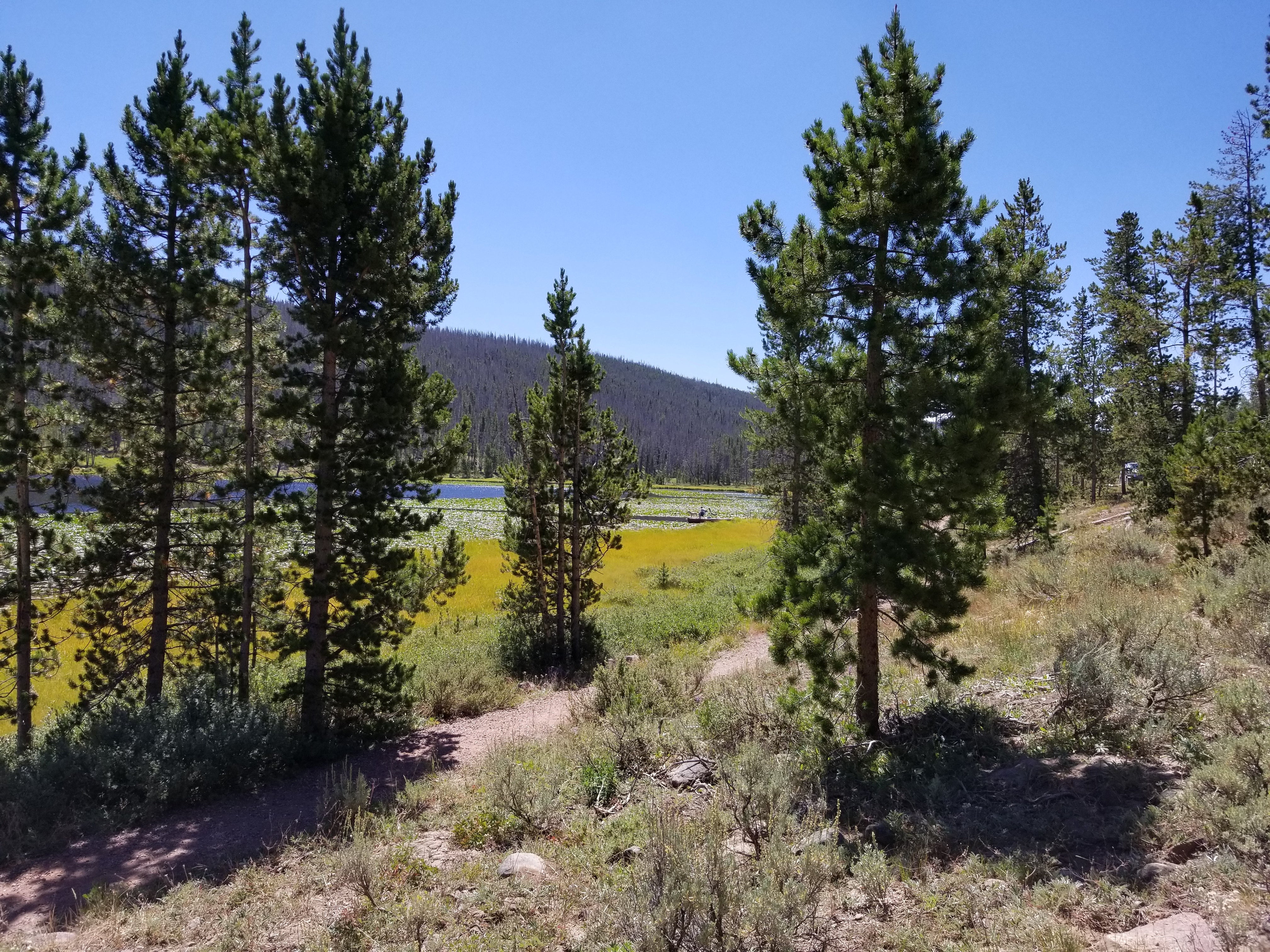 Camper submitted image from Bridger Lake Campground - 2
