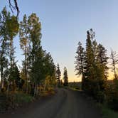 Review photo of Navajo Lake Campground by Brittley A., August 17, 2020