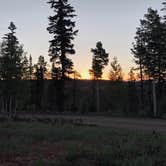 Review photo of Navajo Lake Campground by Brittley A., August 17, 2020