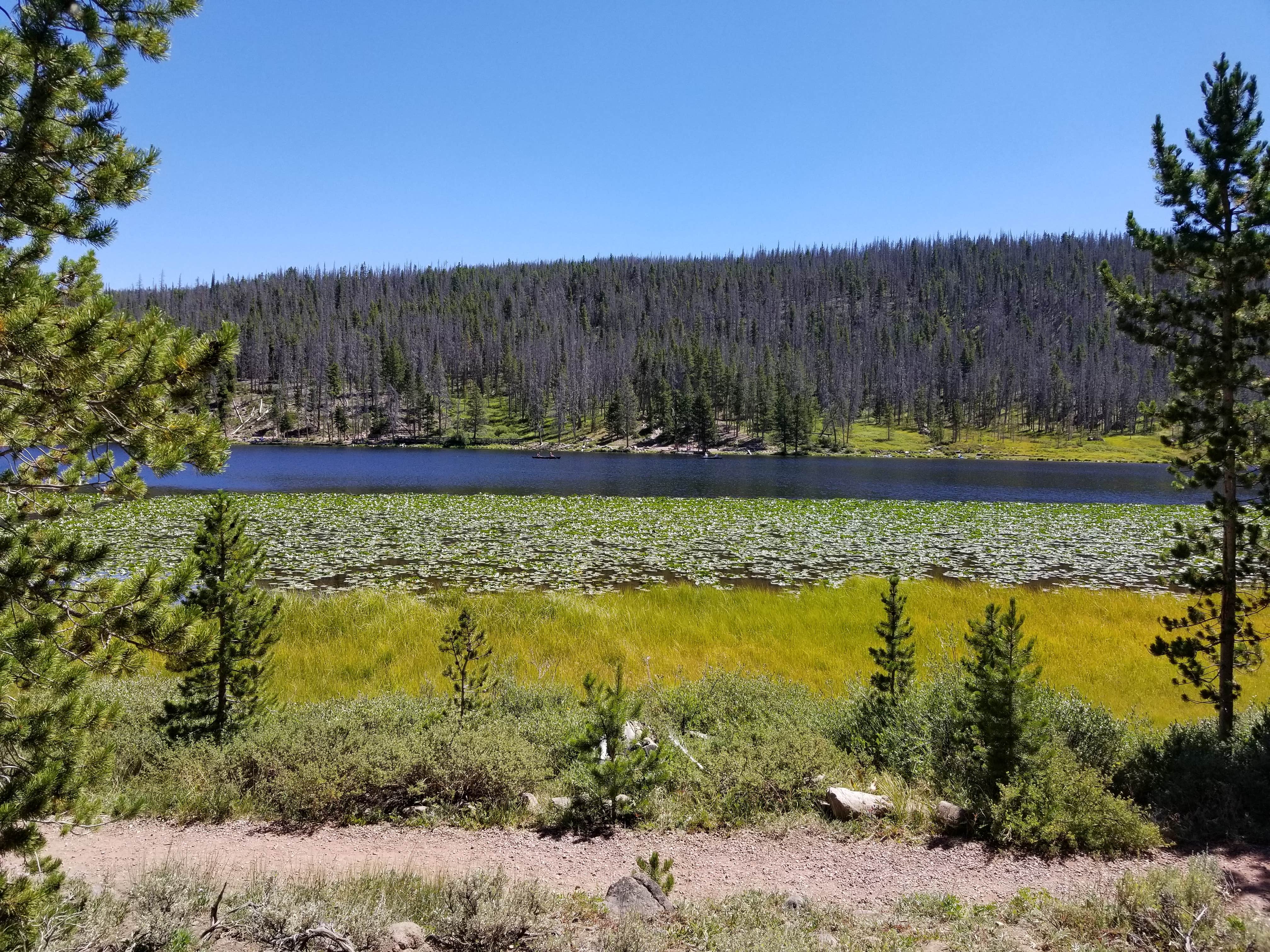 Camper-submitted photo at Bridger Lake Campground near Robertson, WY