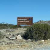 Review photo of Upper Campground - Pahranagat National Wildlife Refuge by Sara S., August 17, 2020