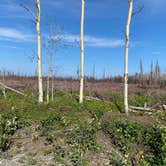 Review photo of Peterson lake campground by Tanya B., August 15, 2020