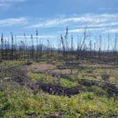 Review photo of Peterson lake campground by Tanya B., August 15, 2020