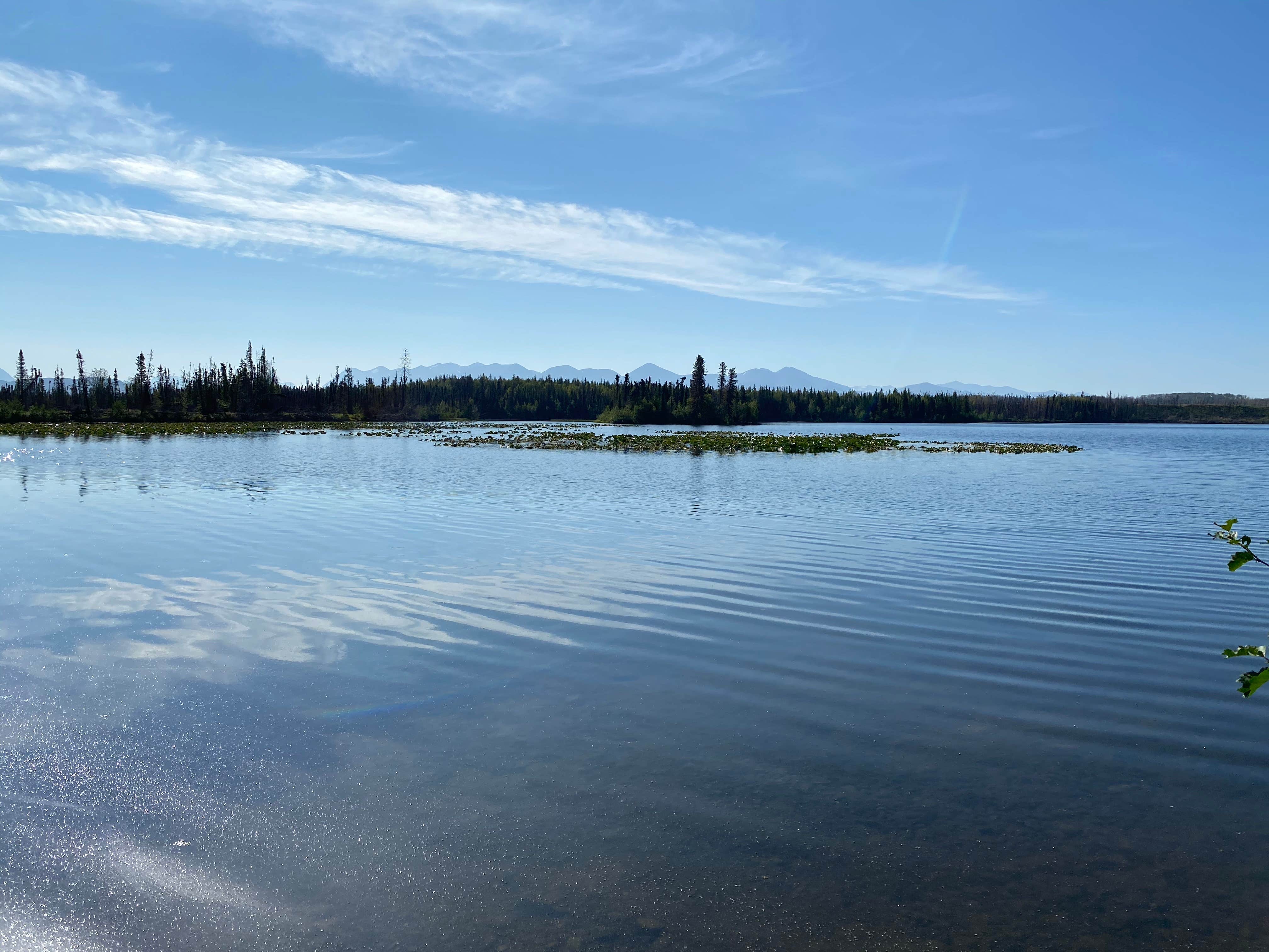 Camper submitted image from Peterson lake campground - 4