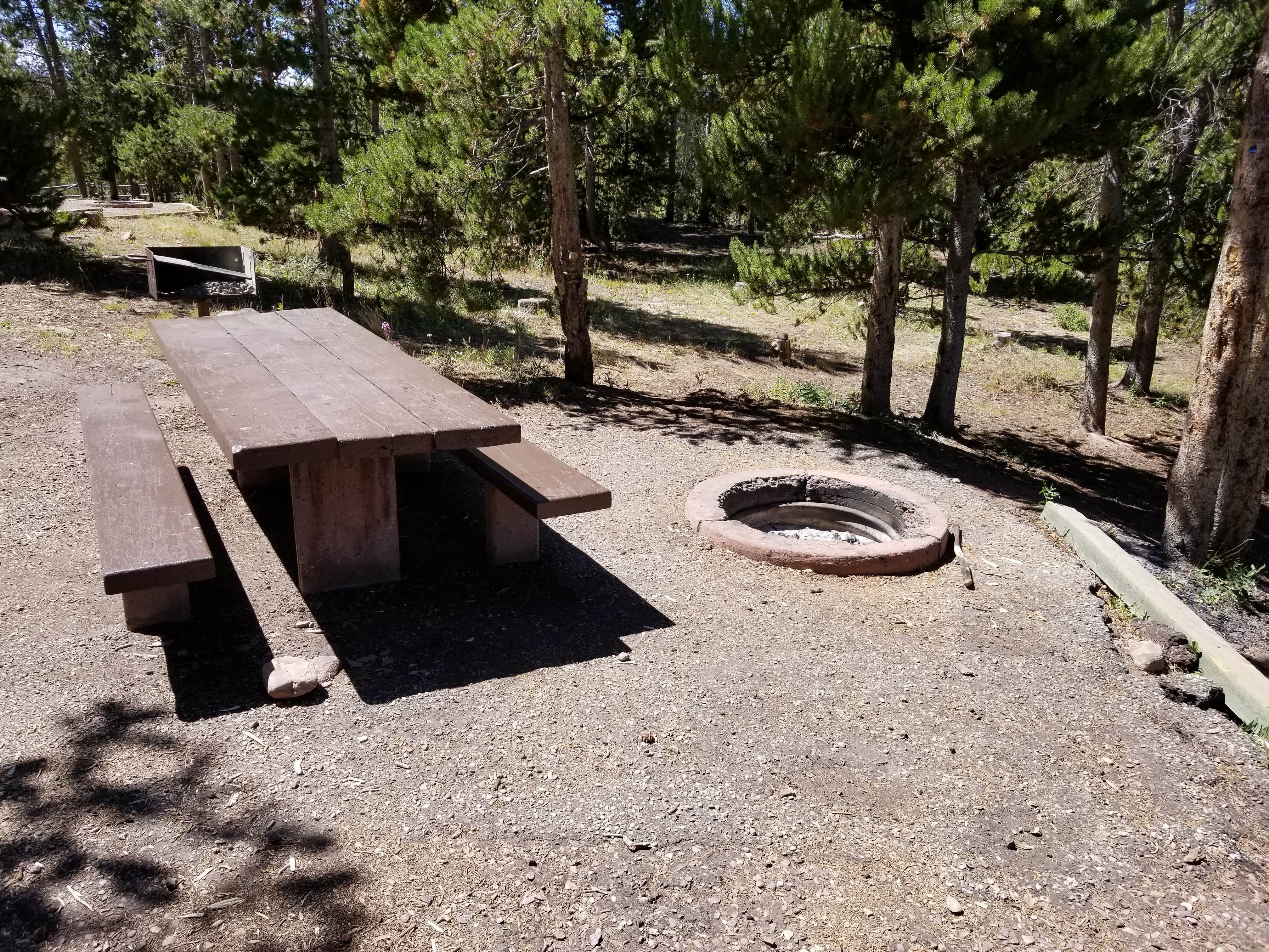 Camping near Marsh Lake Campground: Stateline Campground, Lonetree, Wyoming