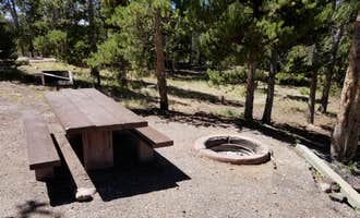 Camping near Country Cabins Inn: Stateline Campground, Lonetree, Wyoming