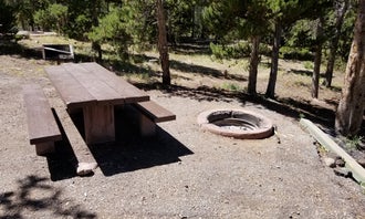 Camping near Bridger Lake Campground: Stateline Campground, Lonetree, Wyoming