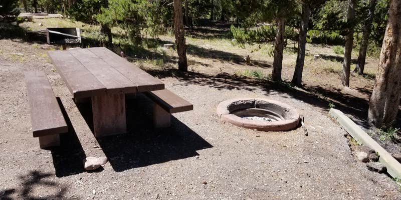 Camper submitted image from Stateline Campground