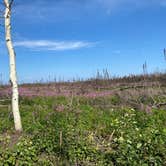 Review photo of Peterson lake campground by Tanya B., August 15, 2020