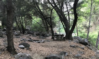 Camping near Horse Flats Campground: West Fork Trail Campground - Temporarily Closed, Mount Wilson, California