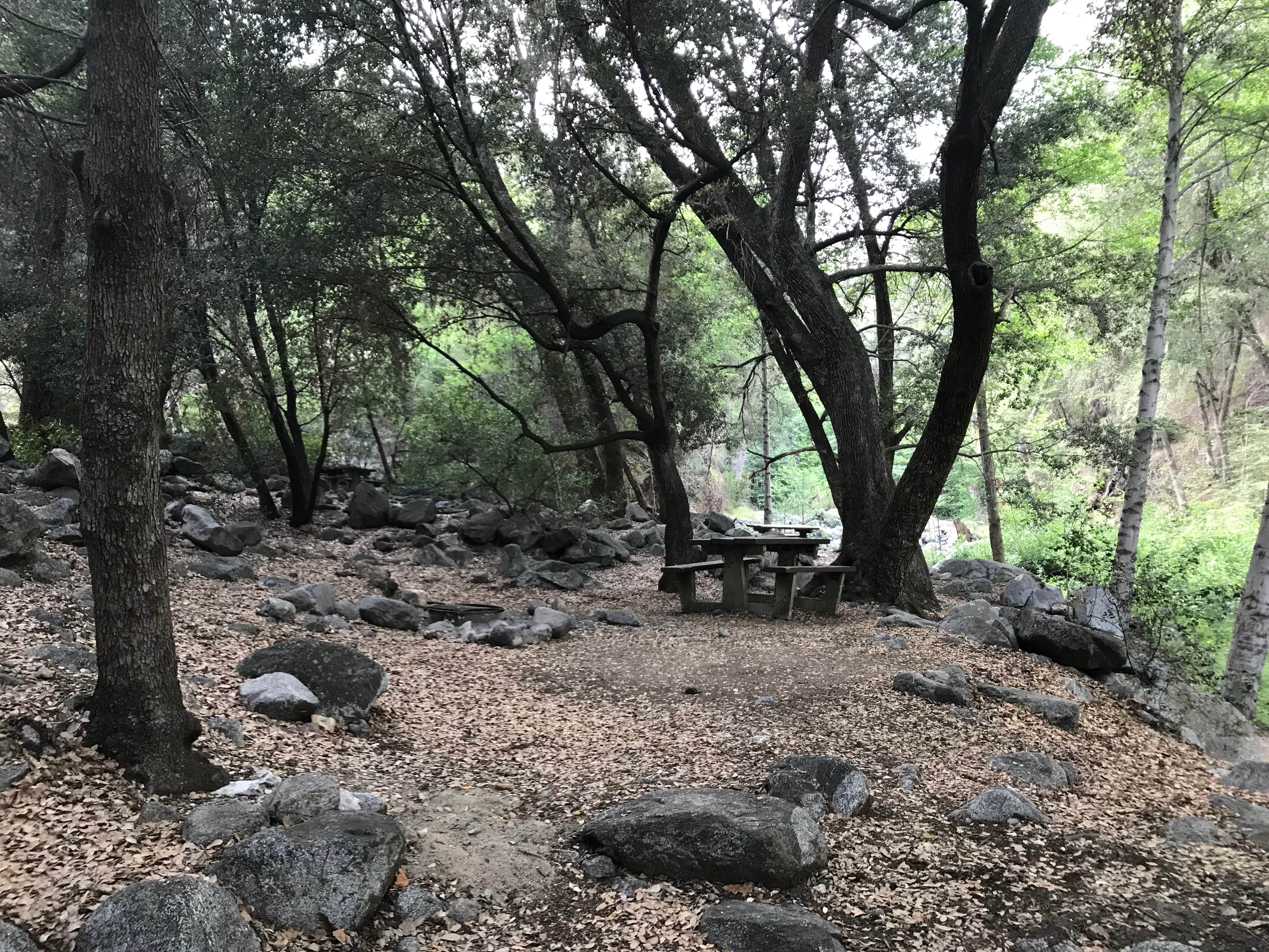 Camper-submitted photo at West Fork Trail Campground - Temporarily Closed near Lancaster, CA
