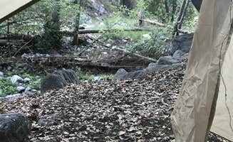 Will B.'s photo at West Fork Trail Campground - Temporarily Closed near Azusa, CA