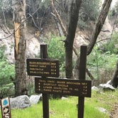 Review photo of West Fork Trail Campground - Temporarily Closed by Will B., August 16, 2020