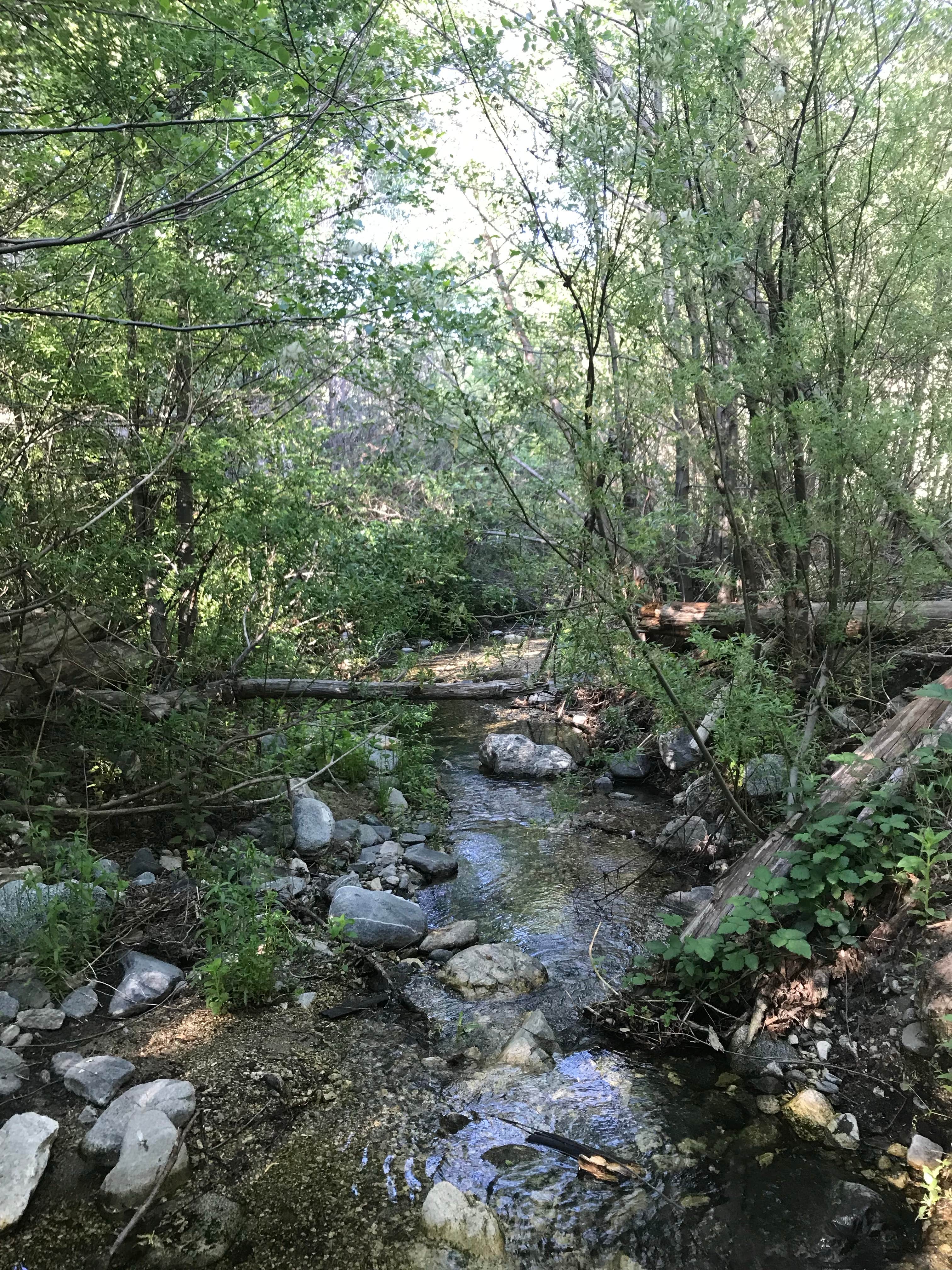 Camper-submitted photo at West Fork Trail Campground - Temporarily Closed near Lancaster, CA