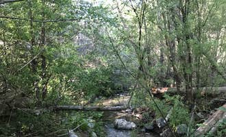 Camping near Monte Cristo Campground: West Fork Trail Campground - Temporarily Closed, Mount Wilson, California