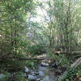 Review photo of West Fork Trail Campground - Temporarily Closed by Will B., August 16, 2020