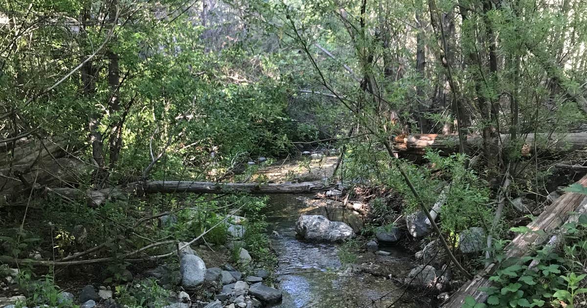 West Fork Trail Campground - Temporarily Closed