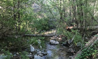 Camping near Fall Creek Trail Campground - TEMPORARILY CLOSED : West Fork Trail Campground - Temporarily Closed, Mount Wilson, California