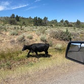 Review photo of South Steens Campground by Will B., August 14, 2020