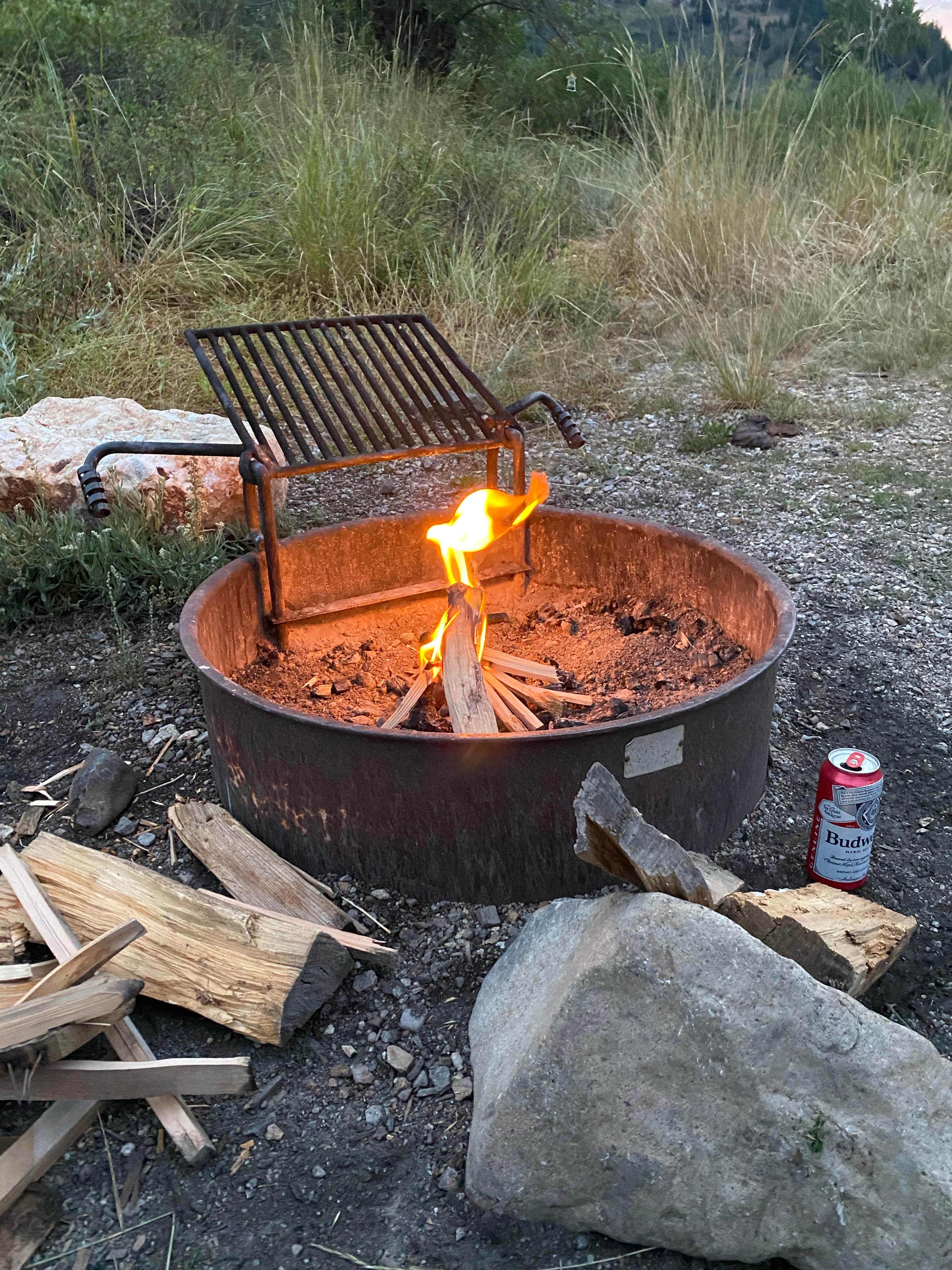 Camping near The Rock Stage Stop - BLM Dispersed: Silver City Campground, Murphy, Idaho