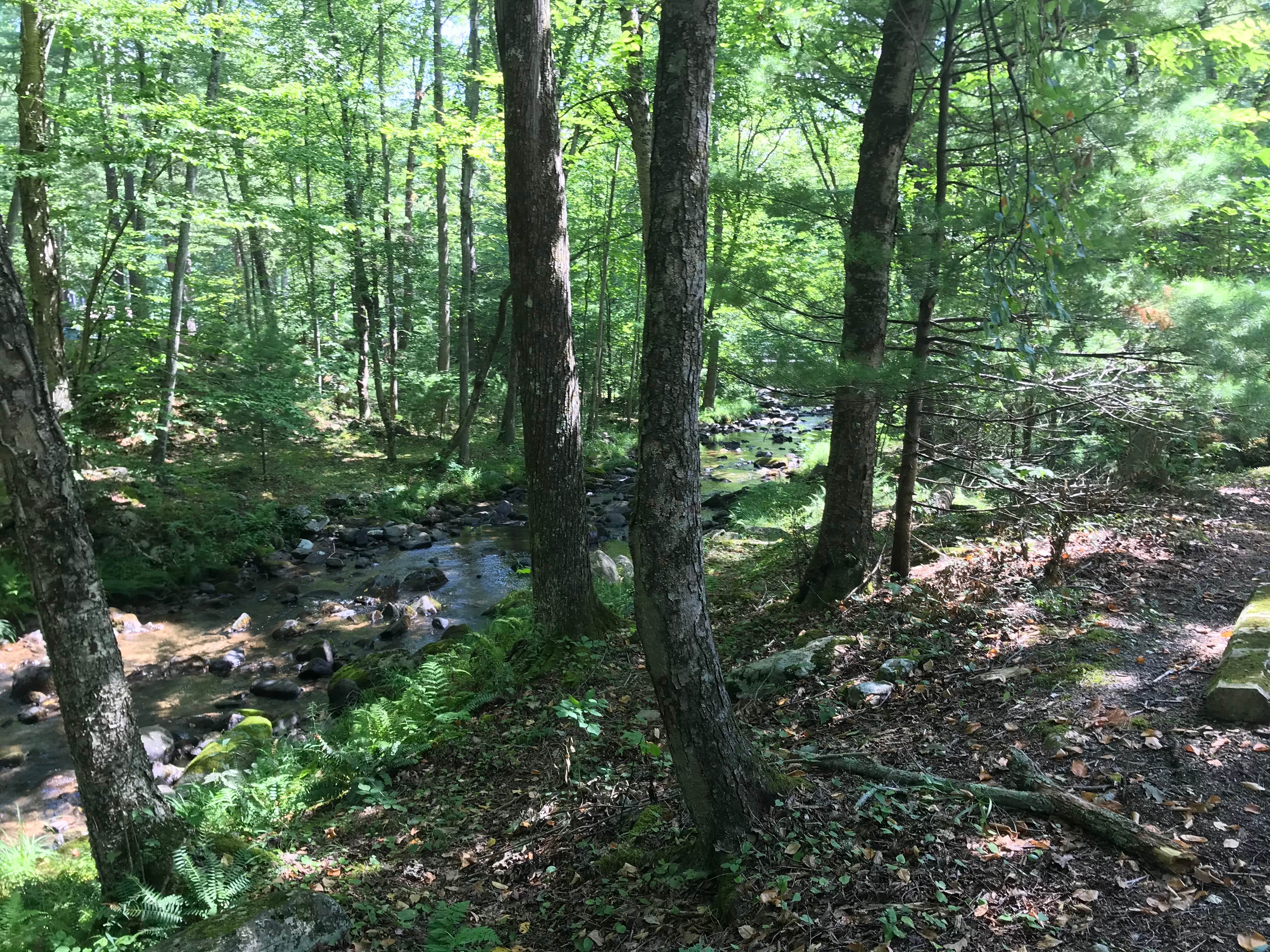 Camper submitted image from Poe Paddy State Park Campground - 5