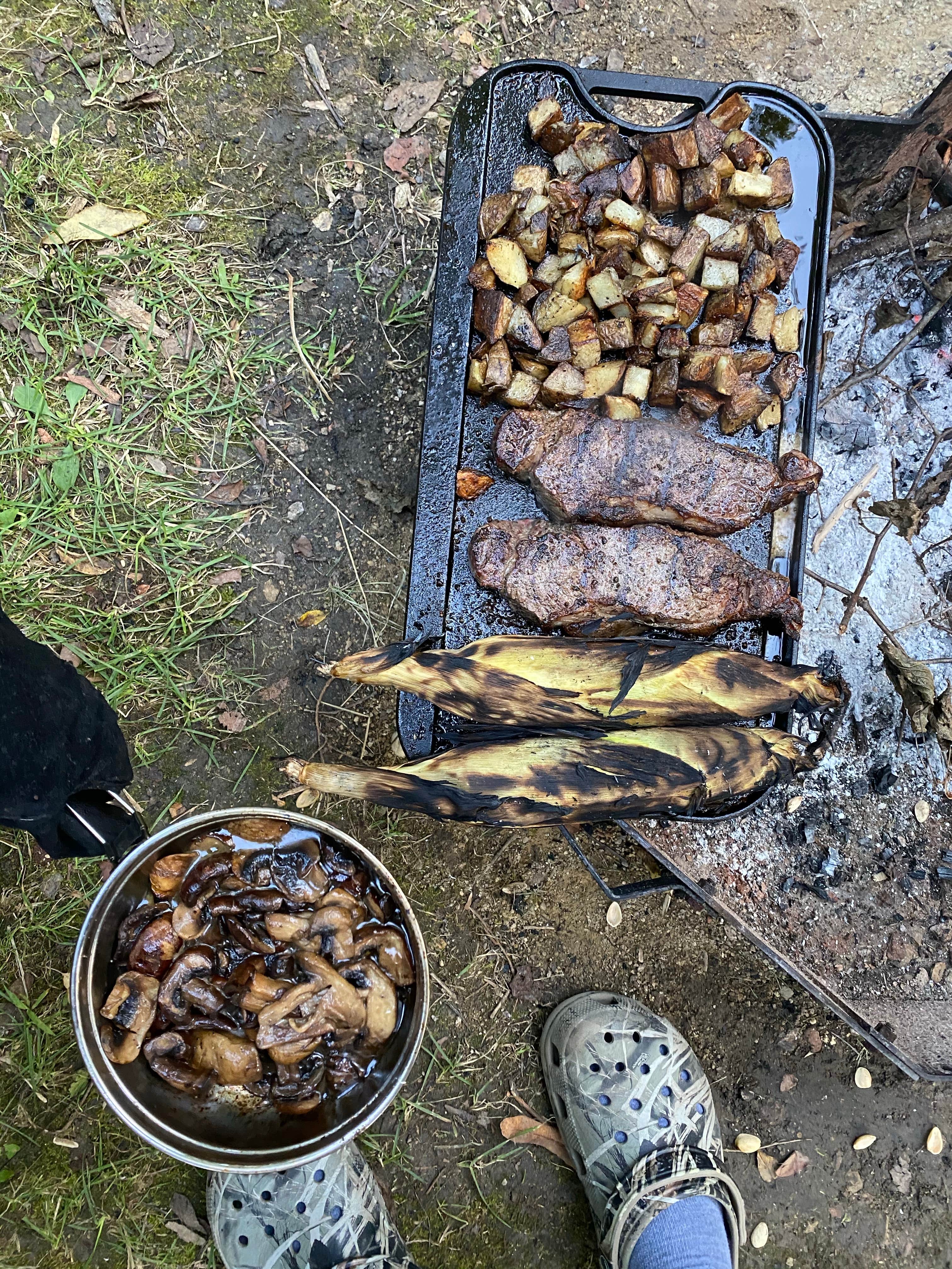 Camping near Blackhawk Memorial Park: Apple River Canyon, Apple River, Illinois