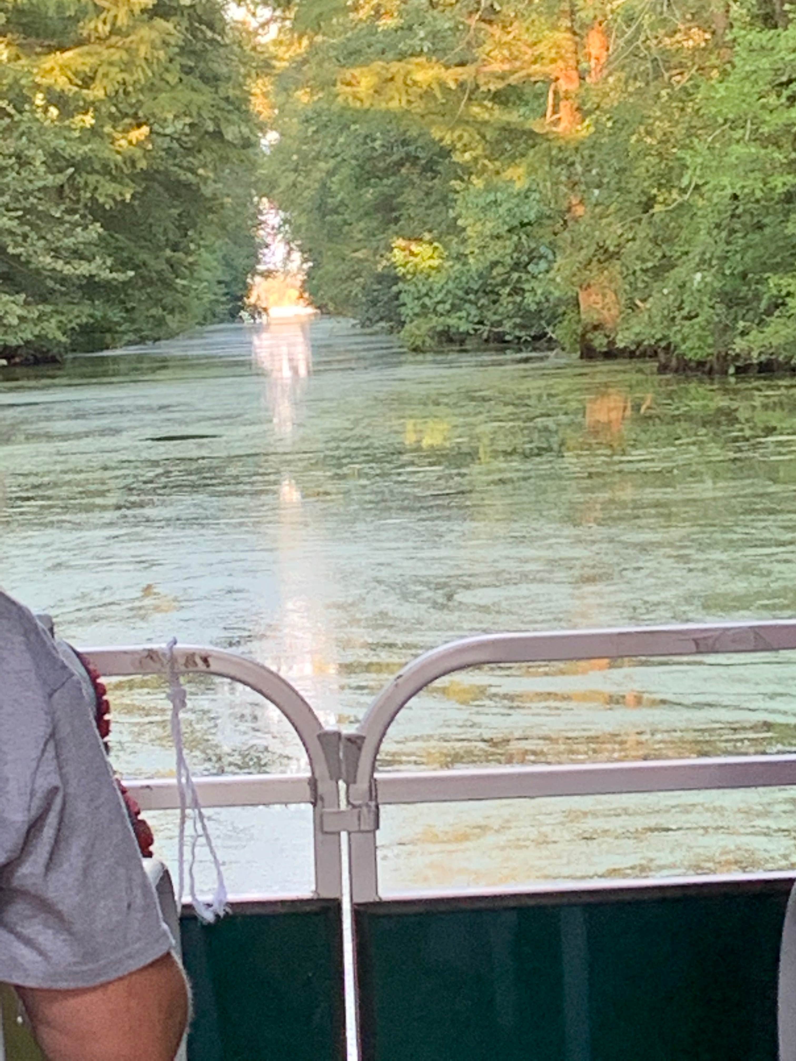 Camper-submitted photo at Reelfoot Lake State Park Campgrounds near Troy, TN